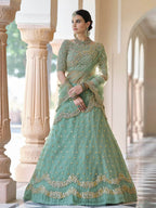 Myra Pista Net Embroidered Lehenga