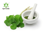 Ayurvedix Organic Gotu Kola Leaf Extract Powder - Distacart