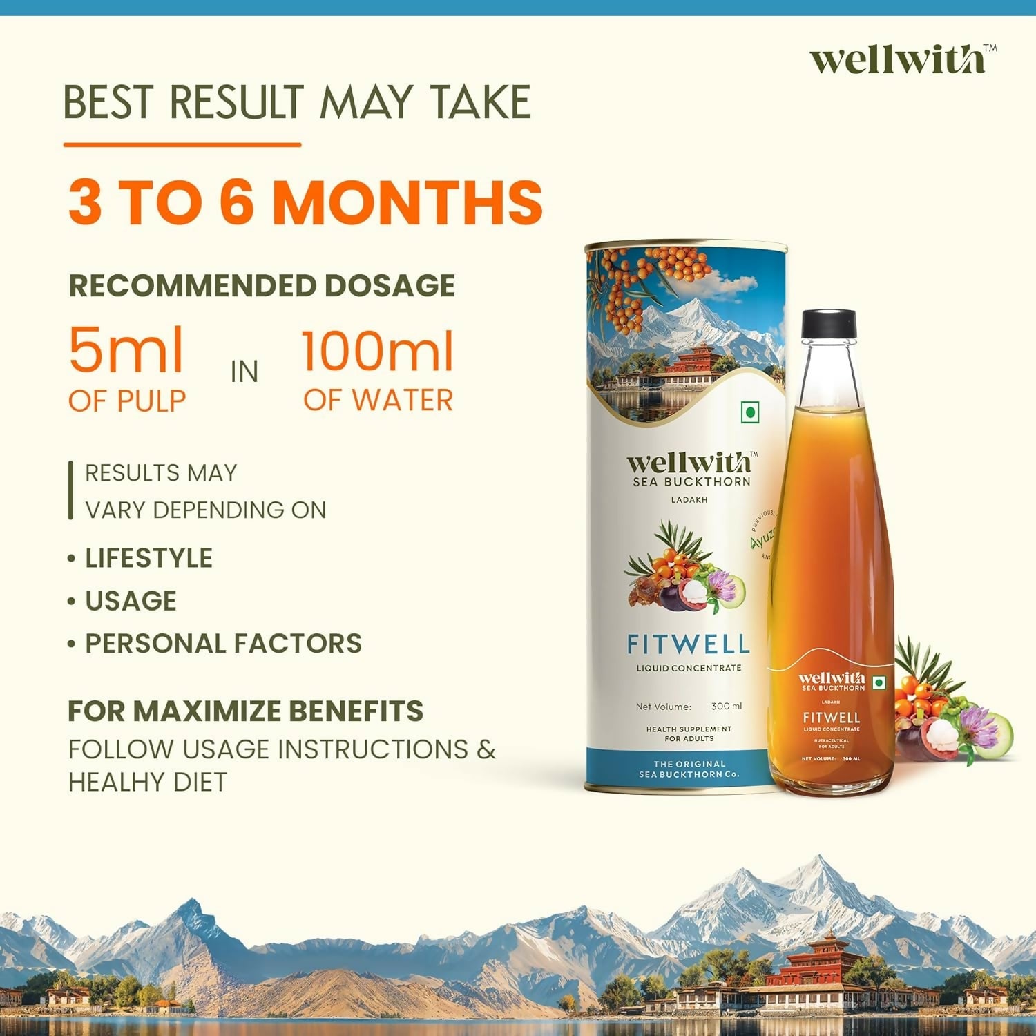 Wellwith Fitwell Juice – Himalayan Sea Buckthorn + Garcinia, Kokum & Punarnava - Distacart