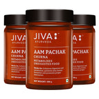 Jiva Ayurveda Aam Pachak Churna - Distacart