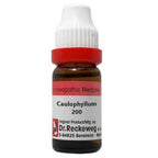 Dr. Reckeweg Caulophyllum Dilution - Distacart