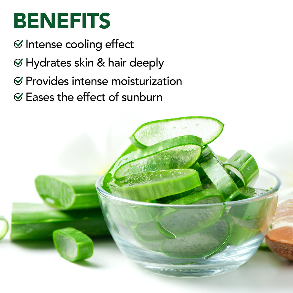 Botanic Hearth Aloe Vera Aloe Anytime Gel