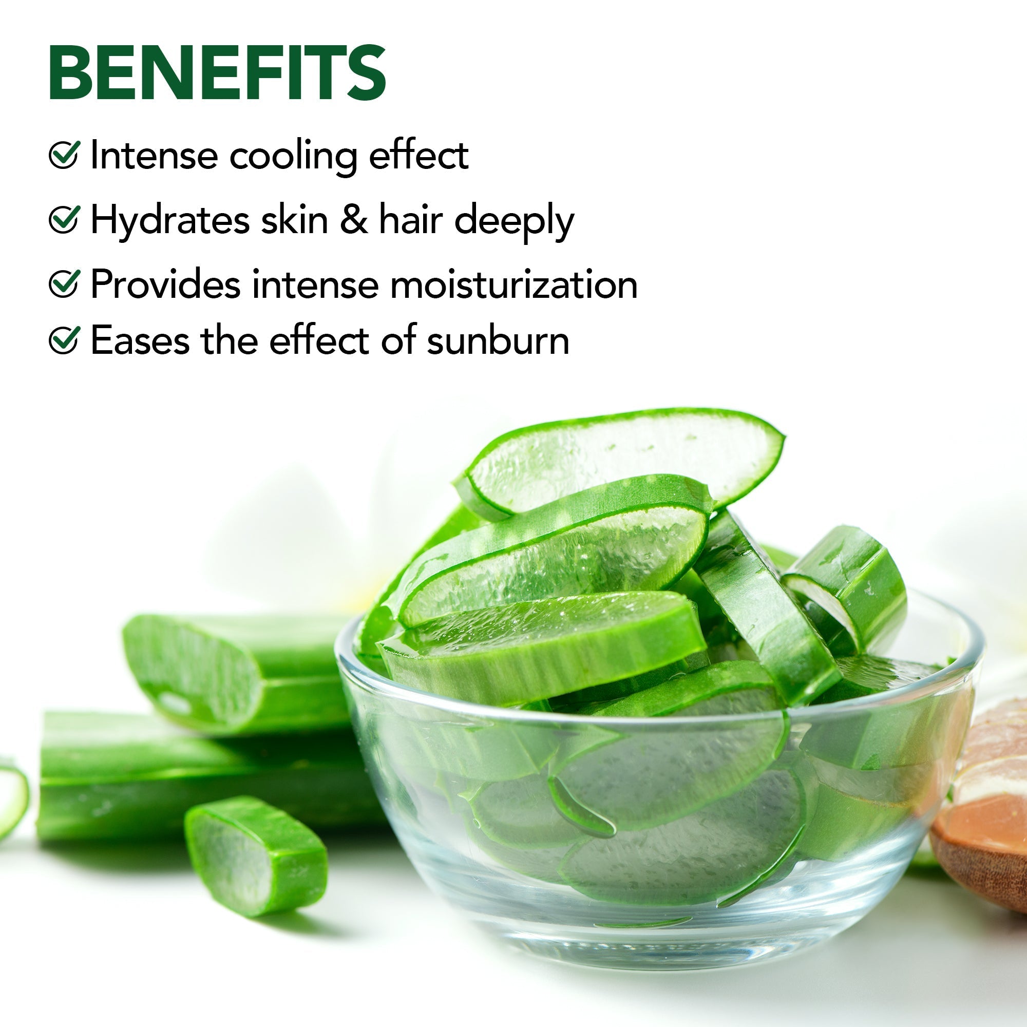 Botanic Hearth Aloe Vera Aloe Anytime Gel
