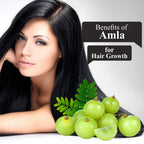 Nuerma Science Amla Powder for Healthy Skin & Hair