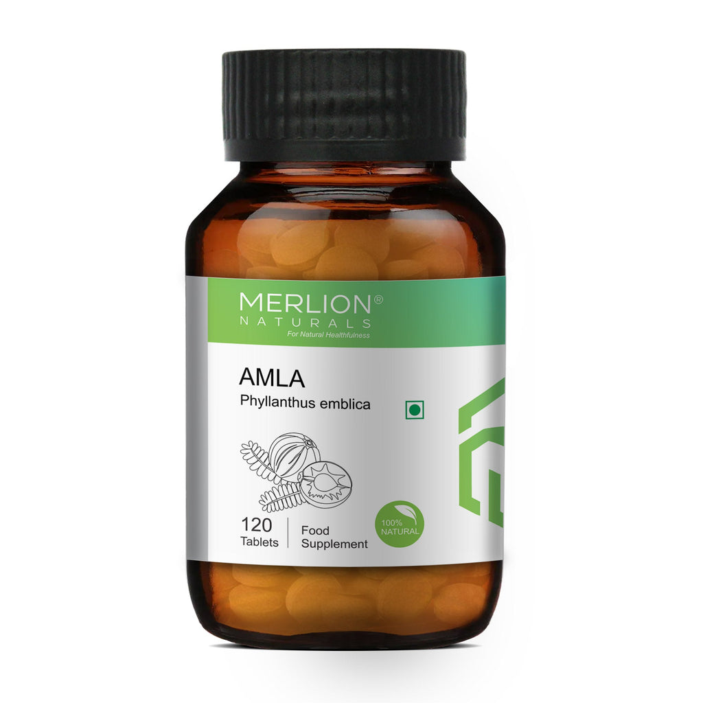 Merlion Naturals Amla 500mg Tablets - Distacart