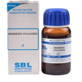 SBL Homeopathy Berberis Vulgaris Mother Tincture Q 30 ml