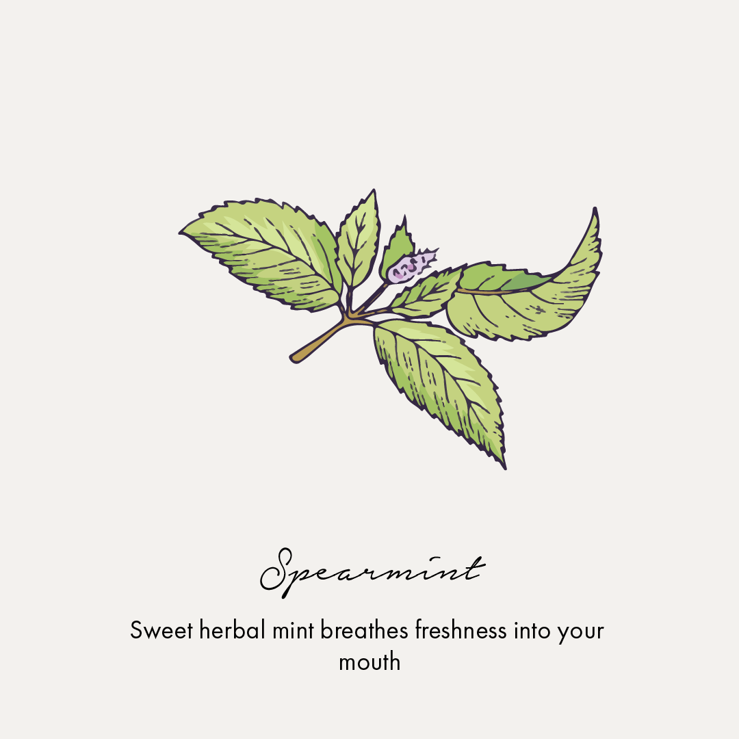 botanical sea salt and spearmint toothpaste 100 gm