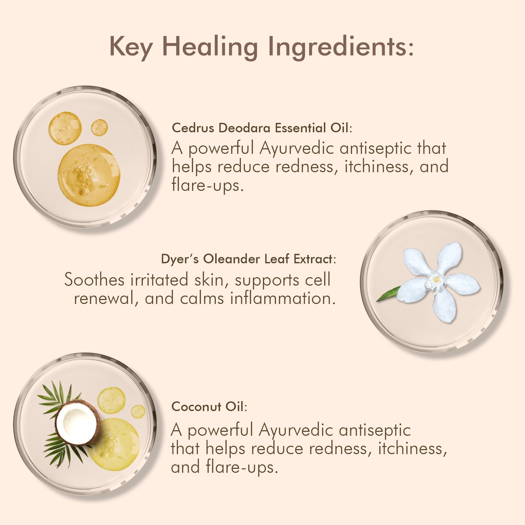 VedicDerm Oleander's Oil for Psoriasis, Eczema, and Atopic Dermatitis - Distacart