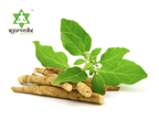 Ayurvedix Organic Ashwagandha Powder - Distacart