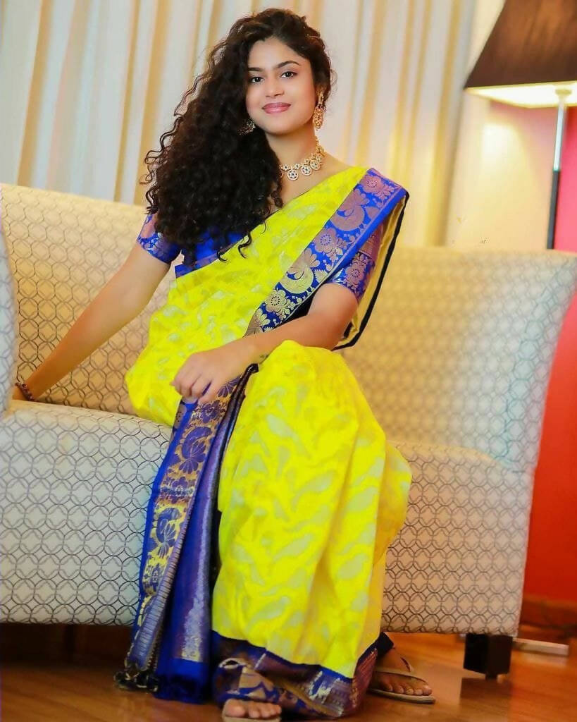 DEIANA'S Beautiful Designer Golden zari Soft Lichi Silk Saree - Yellow