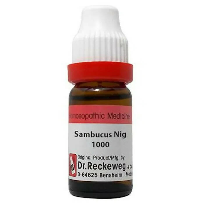 Dr. Reckeweg Sambucus Nig Dilution - Distacart