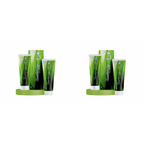 Bio Resurge Life Herbal Ayurvedic Spearmint Toothpaste