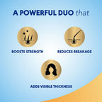 Clinic Plus With Rice Water Protein + Vitamin-E Strong & Thick Shampoo - Distacart