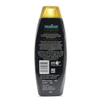 Palmolive Luminous Oil Argan Oil & Camelia Shampoo