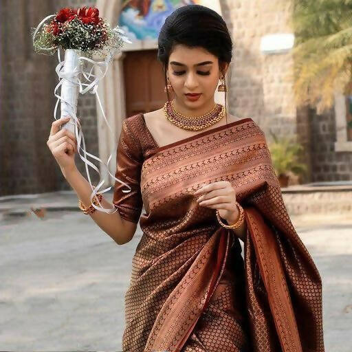 DEIANA'S Beautiful Designer Golden zari Soft Lichi Silk Saree - Brown