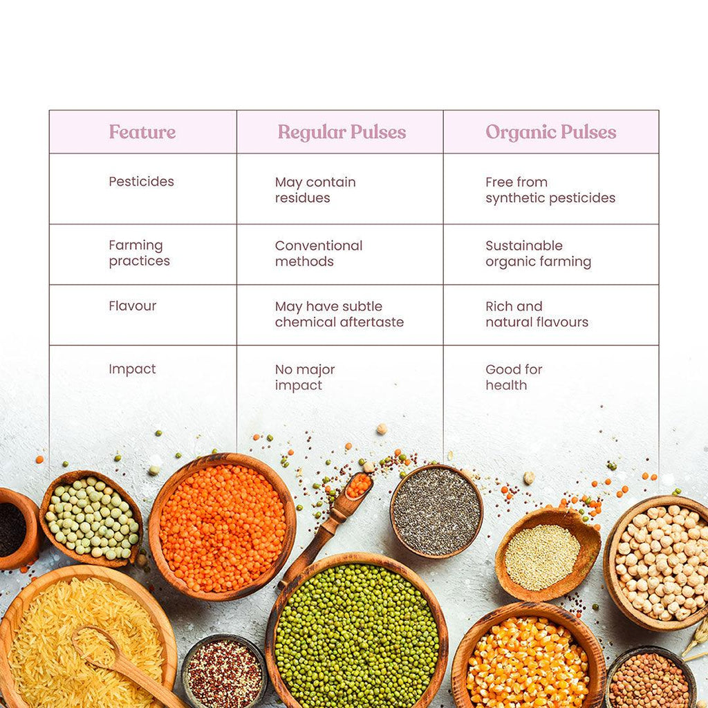 Bharat Vedica Organic Red Kidney Beans - Organic Rajma Red - Distacart