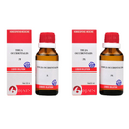 Bjain Homeopathy Thuja Occidentalis Dilution