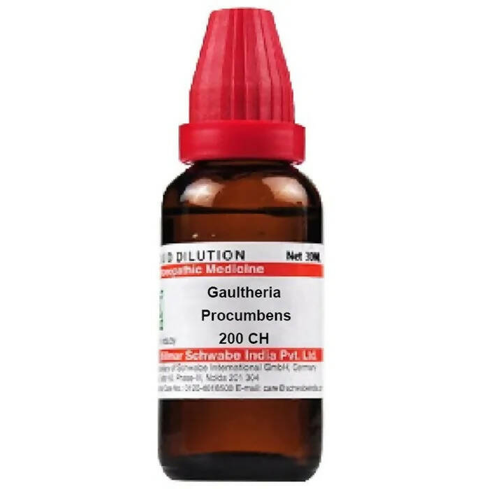 Dr. Willmar Schwabe India Gaultheria Procumbens Dilution - Distacart