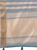 Shree Shyam Fashion Organza Sky Blue Saree - Distacart