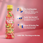 Society Ice Tea Bottle Assorted - Distacart