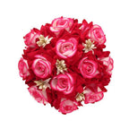 Baby Pink Rose Juda