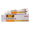 Bakson's Homeopathy Calendula Ointment - Distacart