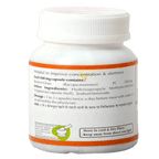 Baps Amrut Brahmi Ghan Capsules Ingredients