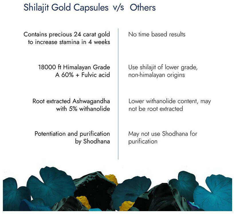 Kapiva Ayurveda Him Foods Sj Gold Capsules - Distacart