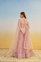 Aastha Fashion Pink Butterfly Net Tone To Tone Cotton Thread Work And Sequence Work Embroidery Wedding Wear Lehenga Choli