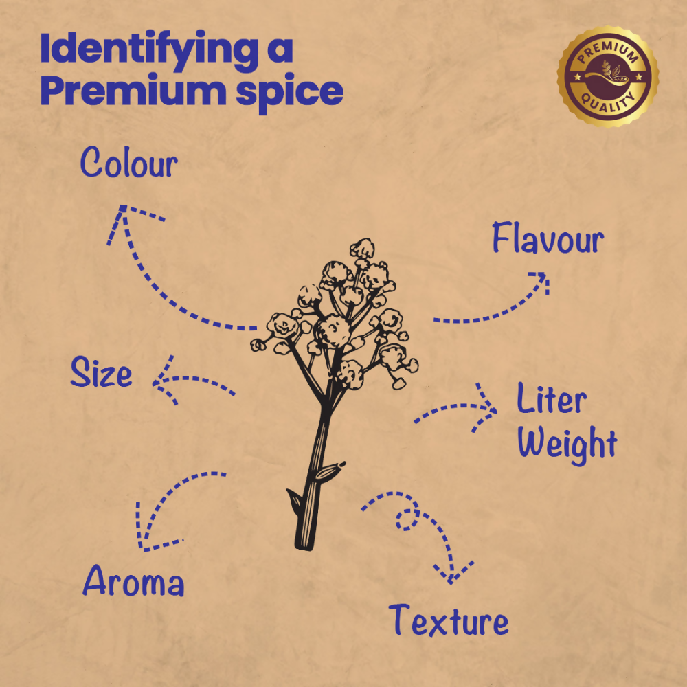 Crista Spices Hing