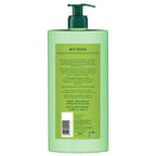  Neem Margosa Anti Dandruff Shampoo & Conditioner