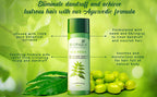 Biotique Bio Neem Margosa Anti Dandruff  