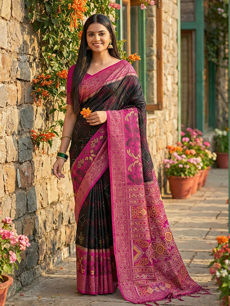 Anaita Black Pochampally Printed Saree With Blouse
