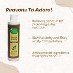 Mother Sparsh Ginger & Neem Anti-Dandruff Hair Oil