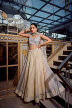 Lehenga Mart Designer Lehenga Choli - Cream