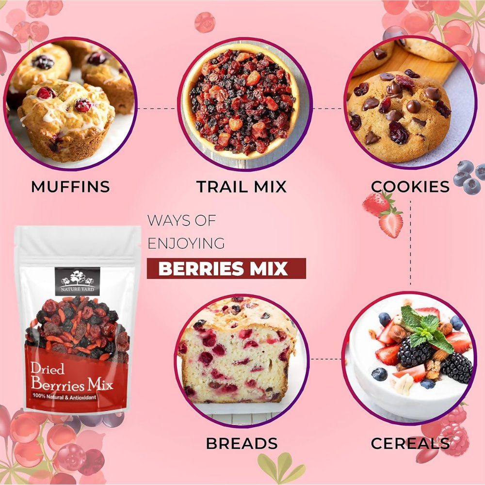 Nature Yard Berries mix without sugar - Mix of Dried Cranberry, Blueberry, Goji berry & Strawberry Dry fruits - Distacart