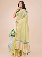 Shree Shyam Fashion Florance Light Green Organza Saree