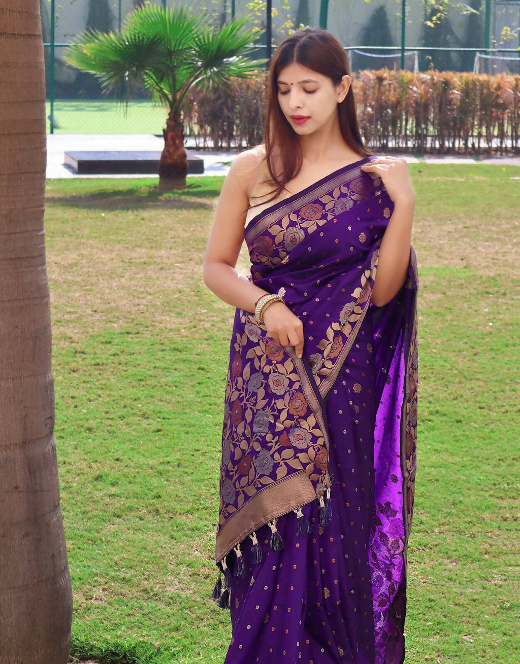 DEIANA'S Beautiful Designer Golden zari Soft Lichi Silk Saree - Purple