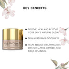 Body Cupid Shea with Argan Oil Body Butter