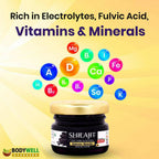 Bodywell Pure Himalayan Sj Resin - Distacart