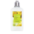 L'Occitane Barbotine Body Lotion