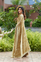 Vastranavya Beige Embroidery Work Shimmer Chiffon Saree with Unstitched Blouse - Distacart