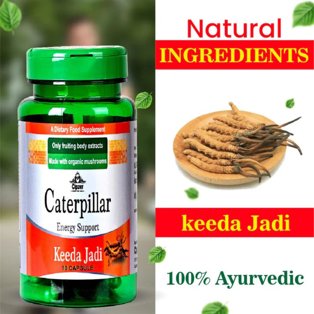Cipzer Caterpillar Keeda Jadi Capsules - Distacart