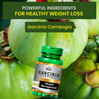 Cipzer Garcinia Capsules - Distacart