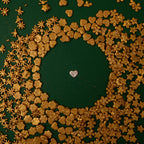 christmas sprinkles ch multipack 16 100 gms