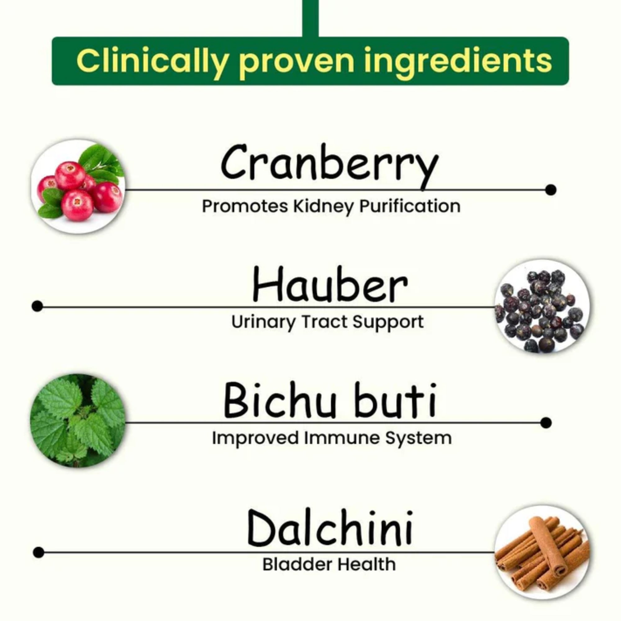 Cipzer Kidney Wellness Capsules - Distacart