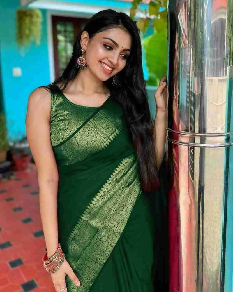 DEIANA'S Beautiful Designer Golden zari Soft Lichi Silk Saree - P Green