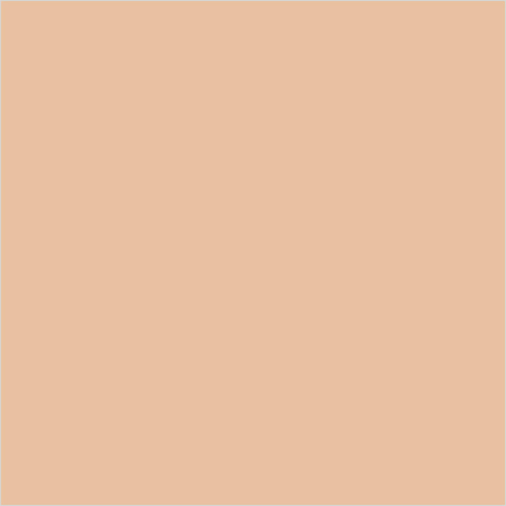 Colorbar 24Hrs Wear Weightless Powder Foundation Pf 7