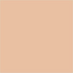 Colorbar 24Hrs Wear Weightless Powder Foundation Pf 7