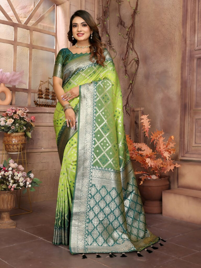 Anaita Light Green kochi Silk With Beautiful Checks Weaving Saree With Blouse